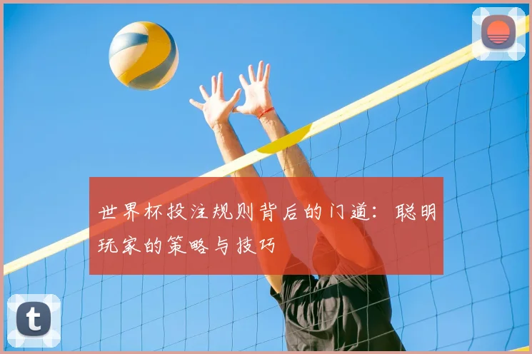 世界杯投注规则背后的门道：聪明玩家的策略与技巧