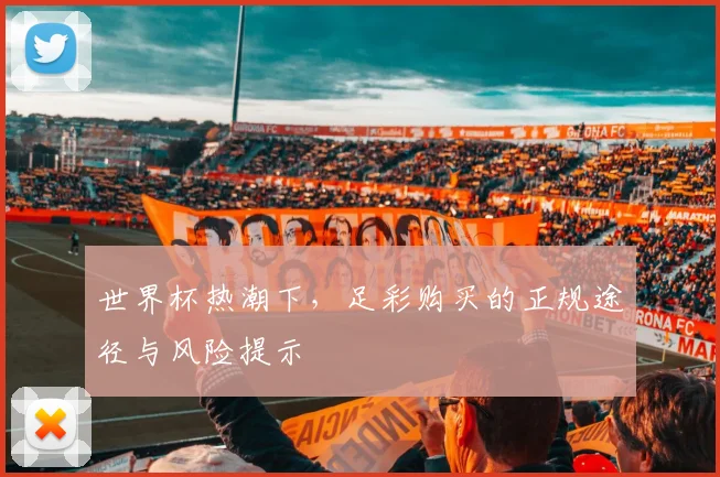 世界杯热潮下，足彩购买的正规途径与风险提示