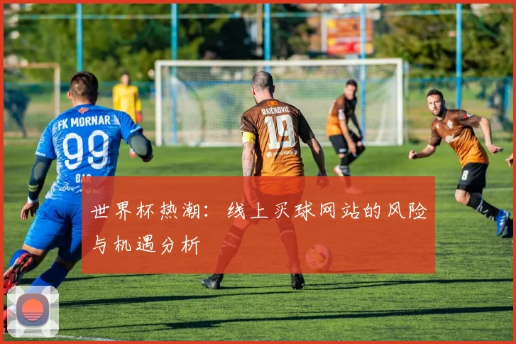 世界杯热潮：线上买球网站的风险与机遇分析